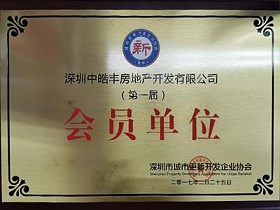皓丰-深圳市城市更新开发企业协会会员